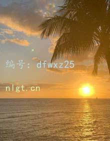 λ